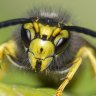 Bernd.MG