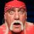 hulkhogan